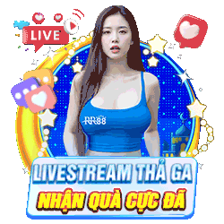 Live Nhận Code